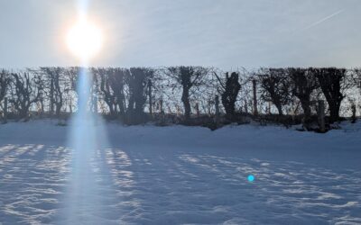 January: Fresh Starts, Routines & Winter Wellbeing for Families